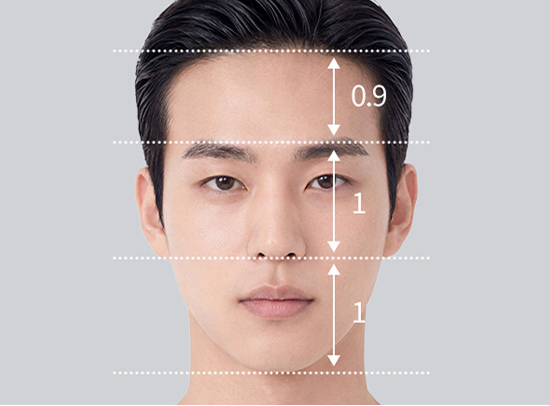 Front-face proportions