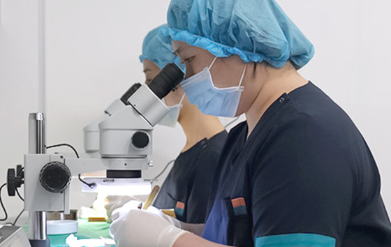 Follicle separation