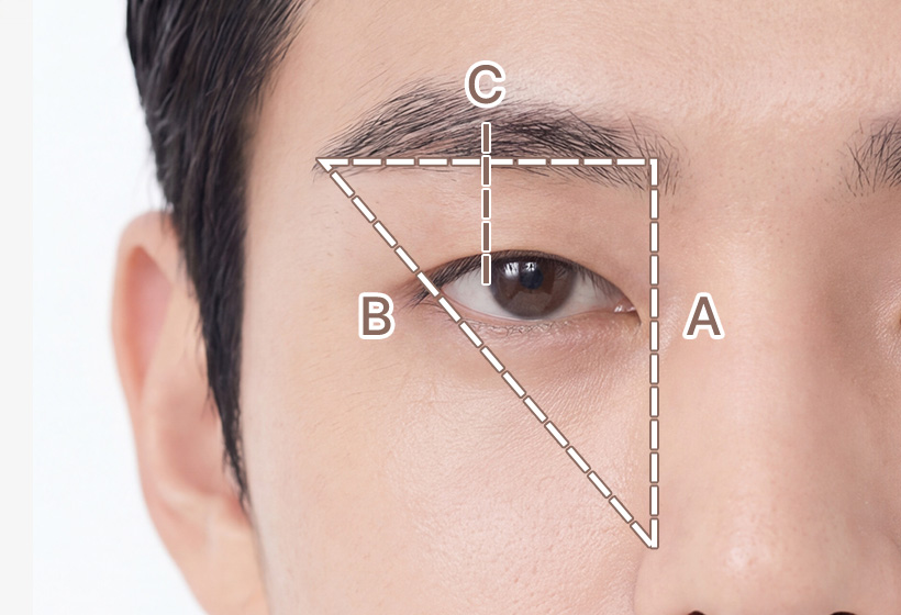 The ideal eyebrow shape